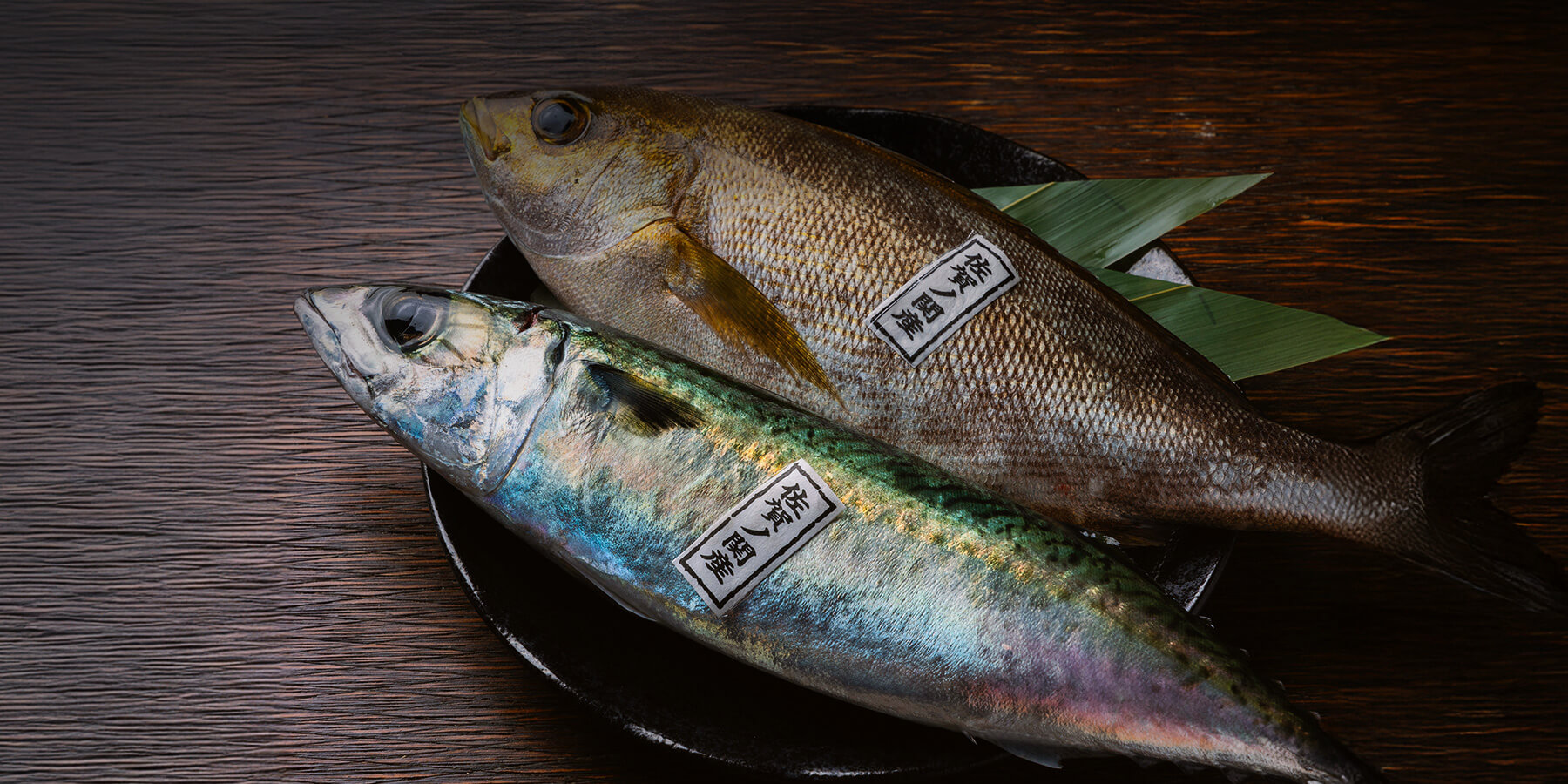 魚